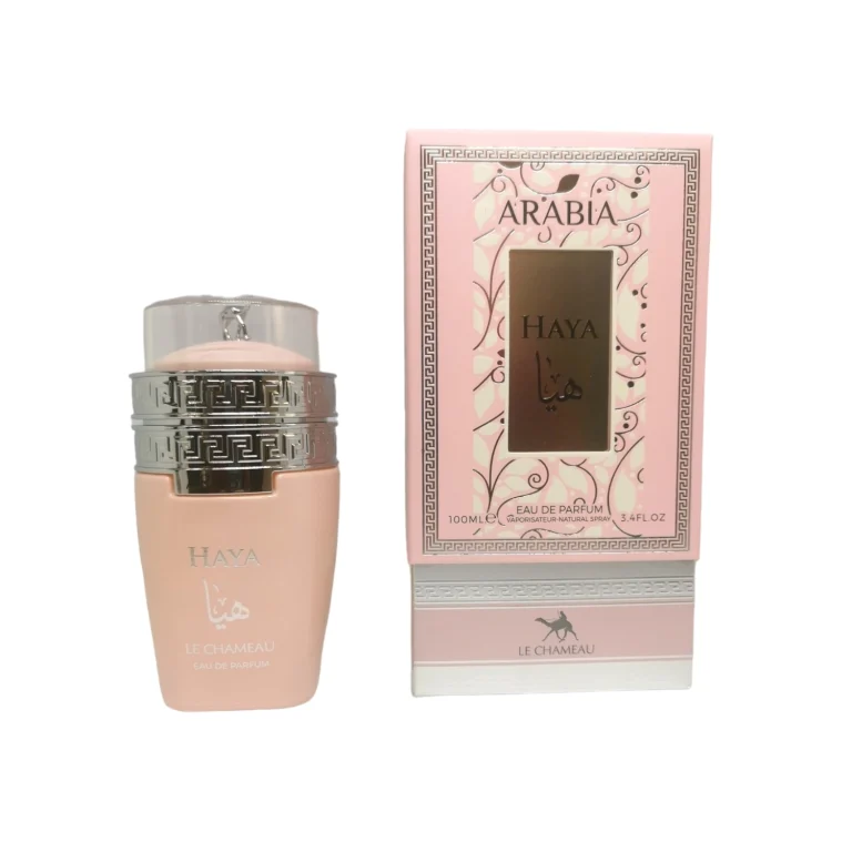 c7c841fdf1f4e1be7d5011de6628a3d8